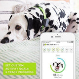 Whistle 3 GPS Pet Tracker & Activity Monitor